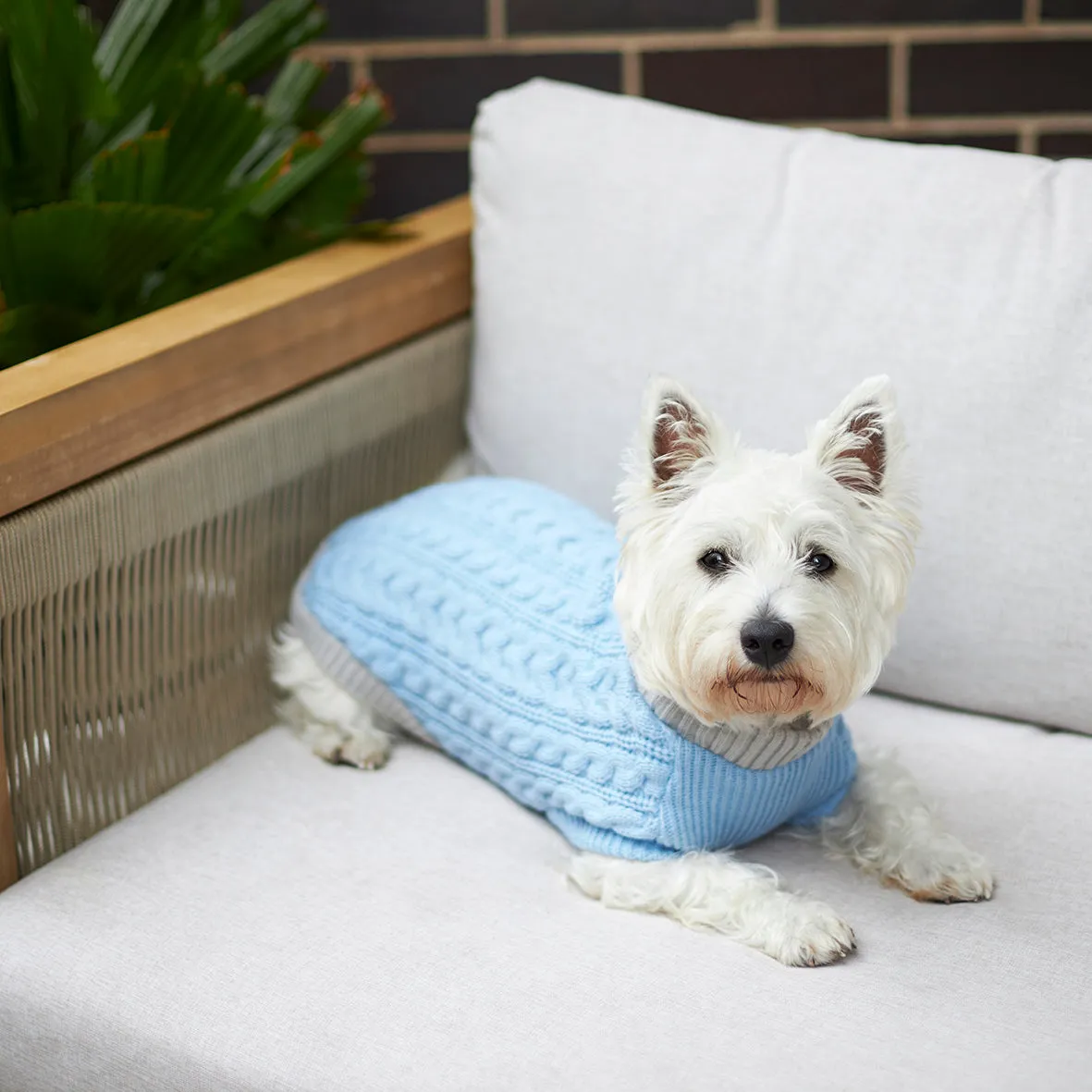 Blue Cloud Cable Knit Dog Jumper