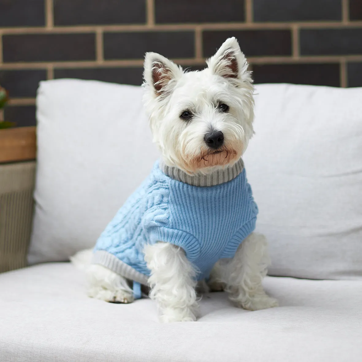 Blue Cloud Cable Knit Dog Jumper